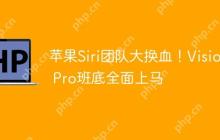苹果Siri团队大换血!Vision Pro班底全面上马