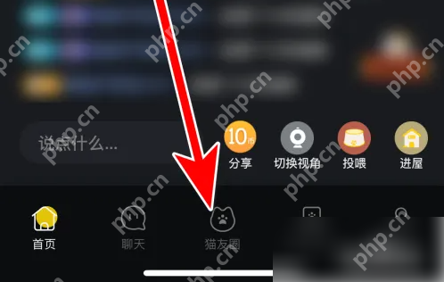 街猫app如何搜索用户 街猫添加关注用户方法