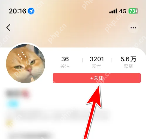 街猫app如何搜索用户 街猫添加关注用户方法