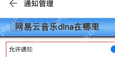 网易云音乐dlna在哪里