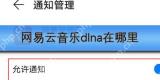 网易云音乐dlna在哪里