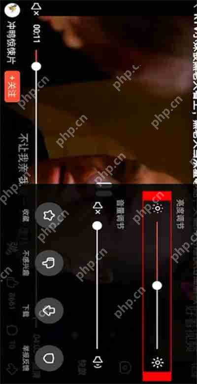 好看视频怎么调节视频亮度