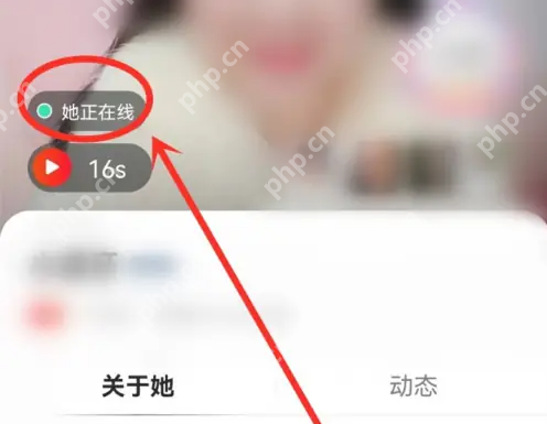 心遇app如何确认对方在线呢 心遇app看关注用户在线状态方法