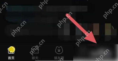 街猫app怎么发评论 街猫开启评论方法