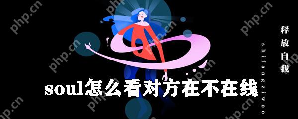 sou如何看對方在不在線_查看對方是否在線方法說明