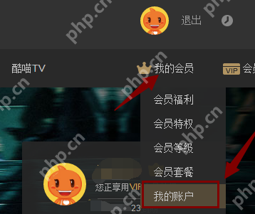 续费会员如何关闭?续费会员关闭方法分享