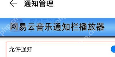 网易云音乐通知栏播放器怎么开