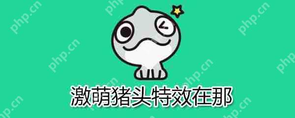 激萌猪头特效在哪？激萌猪头特效位置介绍