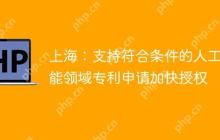 上海：支持符合条件的人工智能领域专利申请加快授权