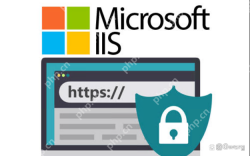 Win8.1系统安装IIS的详细步骤与注意事项