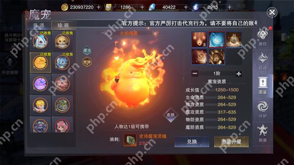 新神魔大陆如何培养自己的战宠