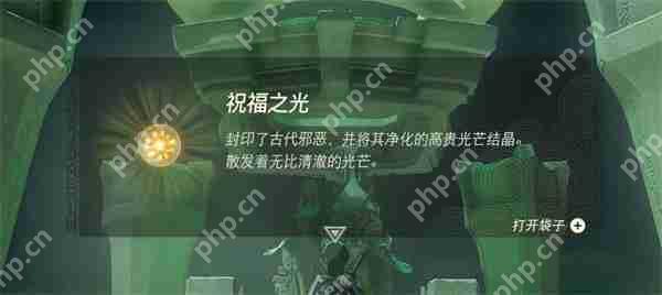 塞尔达传说王国之泪服装强化要什么材料