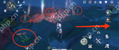 鸣潮妙弋花位置一览