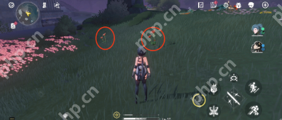 鸣潮妙弋花位置一览