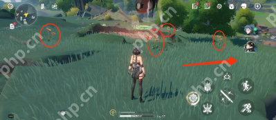 鸣潮妙弋花位置一览