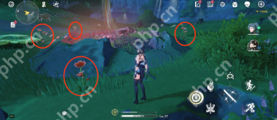 鸣潮妙弋花位置一览