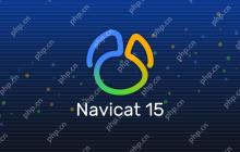 如何从官网安全下载Navicat最新版本