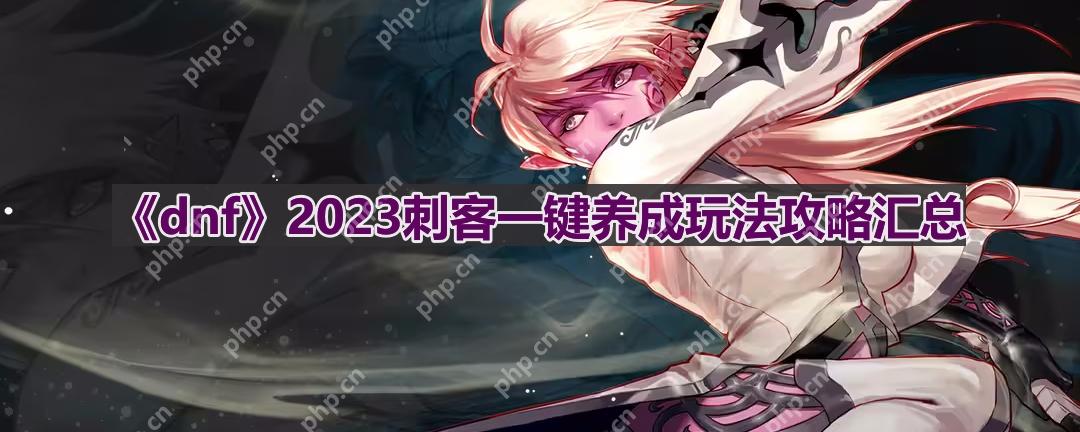 dnf110版本刺客怎么玩-2023刺客一键养成玩法攻略汇总