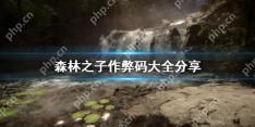 森林之子作弊码大全分享