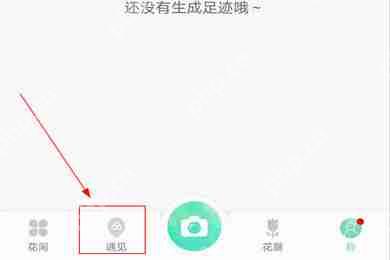 形色app怎么找哪有桑树 形色看附近植物方法