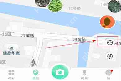 形色app怎么找哪有桑树 形色看附近植物方法