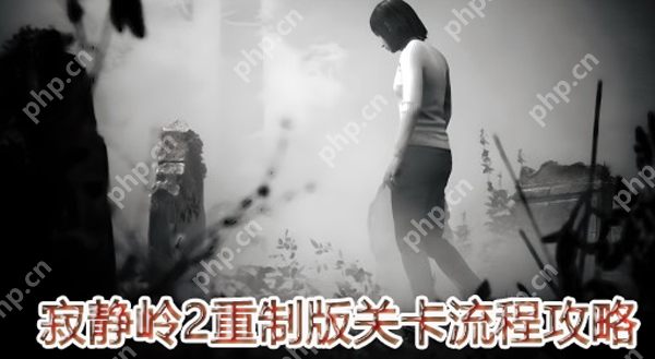 寂静岭2重制版关卡流程攻略