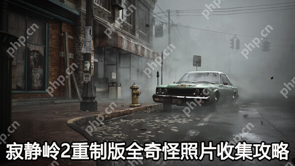 寂静岭2重制版奇怪照片收集攻略