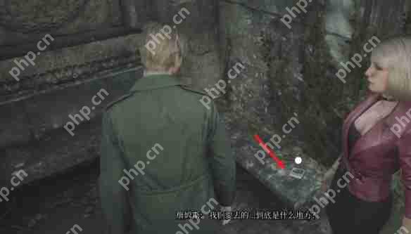 寂静岭2重制版奇怪照片收集攻略