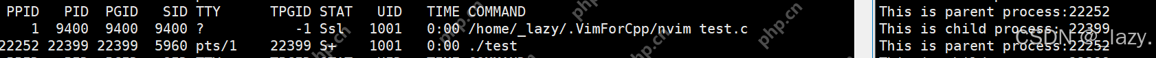 初识Linux · 进程（2）