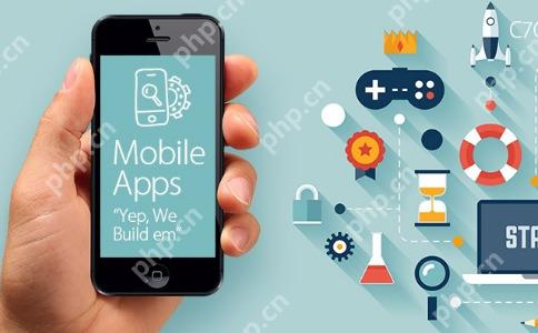 政务云软件开发费用分配与项目管理的优化