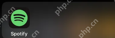 spotify音乐怎么用 spotify设置单曲循环教程