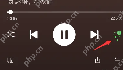 spotify音乐怎么用 spotify设置单曲循环教程