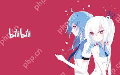 哔哩哔哩怎么绑定学校信息