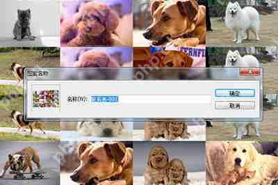 PS照片马赛克拼图怎么弄 照片马赛克拼图效果全览