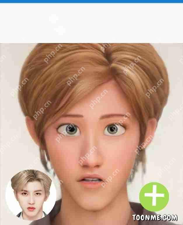 toonme如何添加动画特效