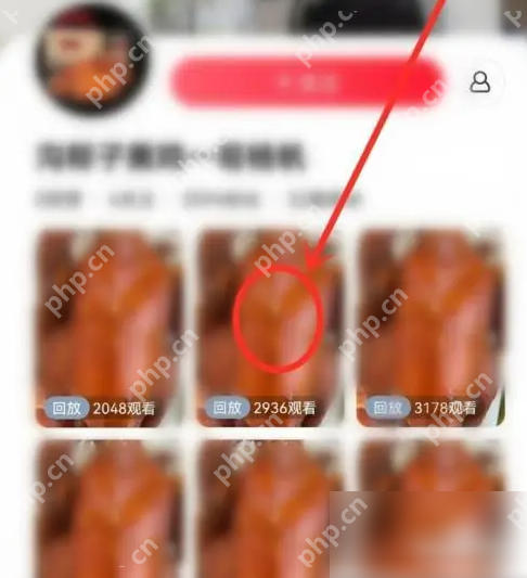 淘宝直播app如何倒回去 点淘app看直播回放方法