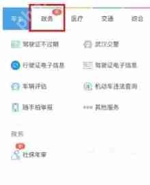 支付宝怎么办退休年审