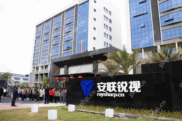 安联锐视2024年营收6.91亿元，今年Q1净利润同比下降38.11%