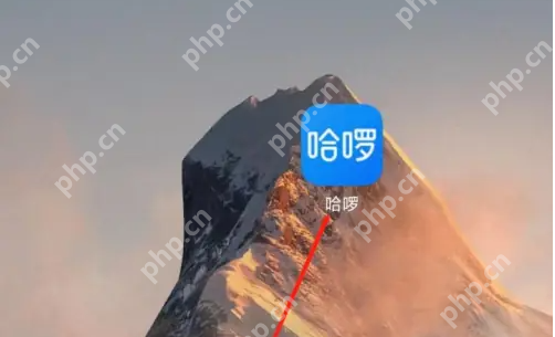 哈啰骑行怎么扫码 哈啰app扫码骑单车方法