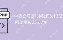 中微公司Q1净利润3.13亿元 同比增长25.67%