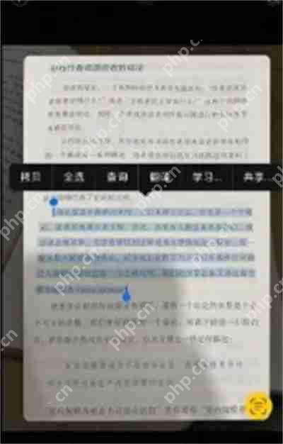 iOS15怎么直接翻译文字