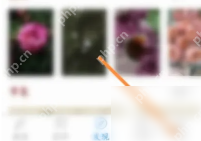 西窗烛怎么使用 西窗烛使用新建学习计划方法
