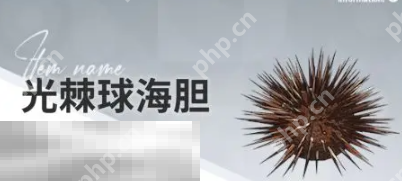 开放空间赶海物什么时候出现 赶海物出现时间介绍