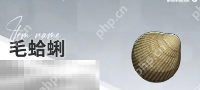 开放空间赶海物什么时候出现 赶海物出现时间介绍