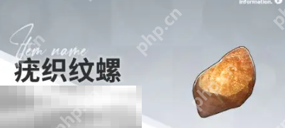 开放空间赶海物什么时候出现 赶海物出现时间介绍