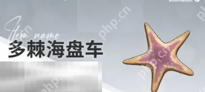 开放空间赶海物什么时候出现 赶海物出现时间介绍