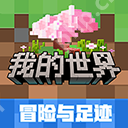 鸣潮漂泊者玩法介绍