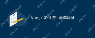 Vue.js 如何进行表单验证
