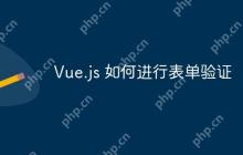 Vue.js 如何进行表单验证