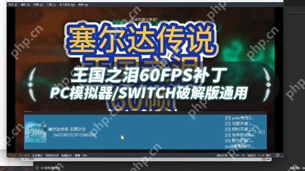 塞尔达传说王国之泪60帧补丁怎么用
